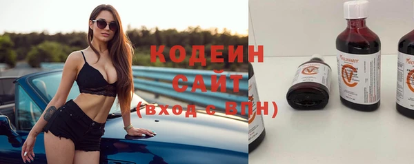 мяу мяу мука Иннополис