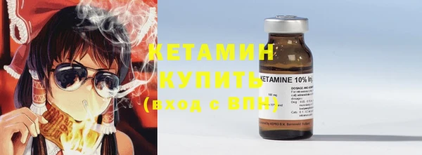 соль ск Каменка