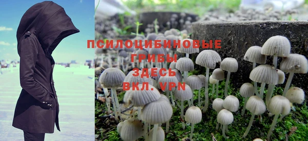 мяу мяу мука Иннополис