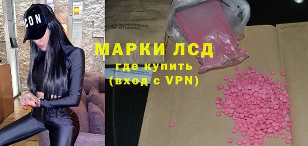 мяу мяу мука Иннополис