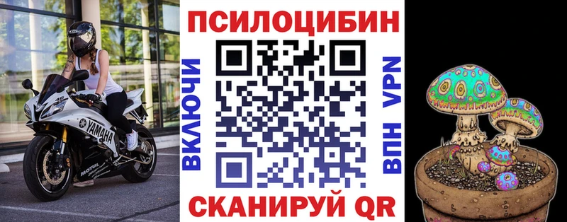 Купить где  Елабуга  Галлюциногенные грибы Magic Shrooms 