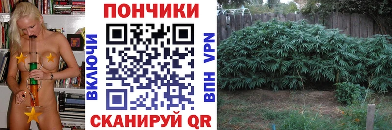 Купить Елабуга МАРИХУАНА конопля